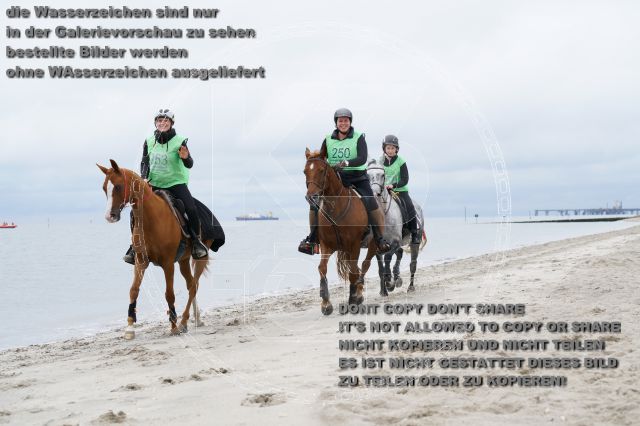 s_K3F04872.JPG